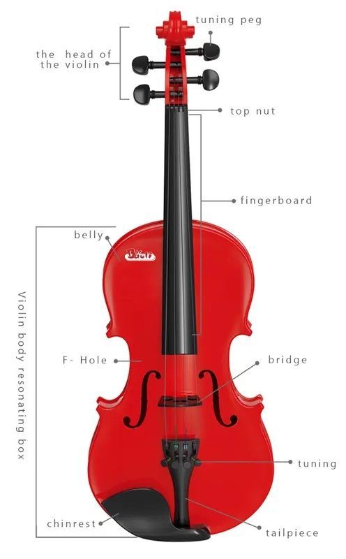 Παιδικό βιολί - 1707 - 215163 - Brown