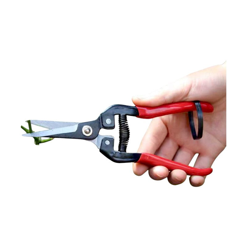 Pruning shears - 291448