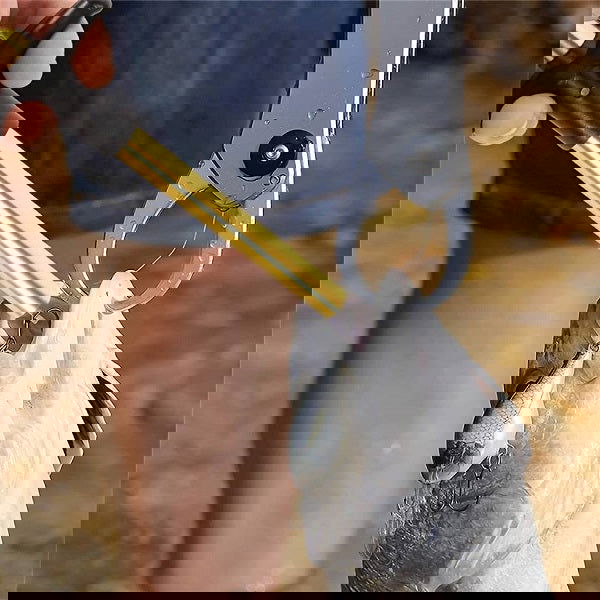 Απαγκιστρωτής - 32103 - iThinksmart.gr