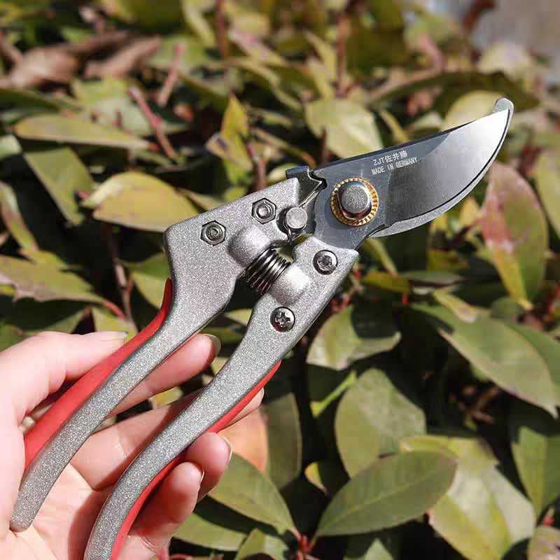 Pruning shears - 291445