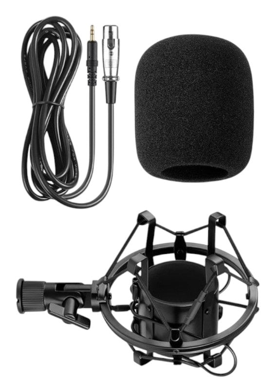 Condenser microphone - BM-700 - 881278 - Blue