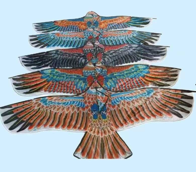 Χαρταετός με σχέδιο - 1.6m - 981034