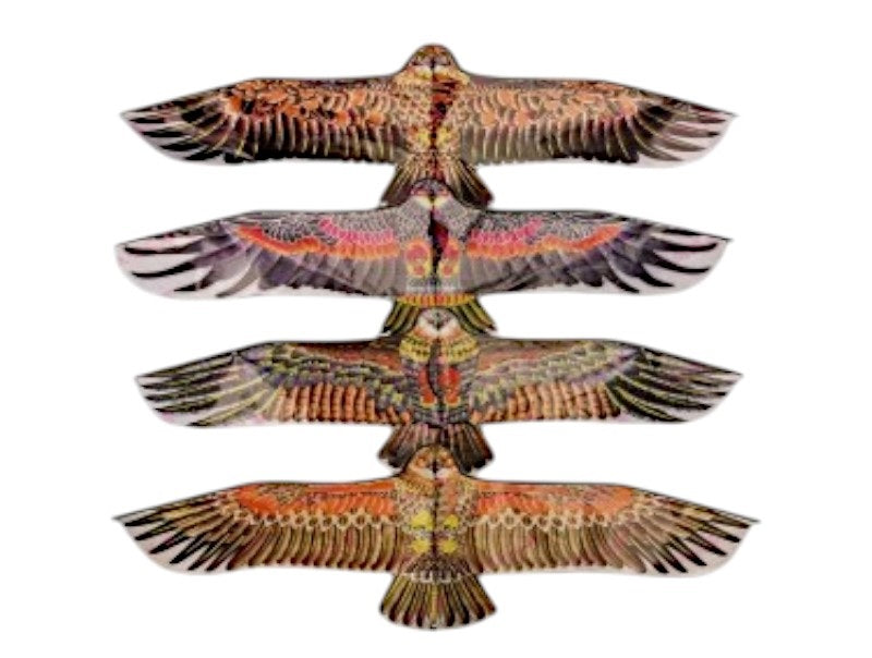 Χαρταετός με σχέδιο - 1.1m - 981010