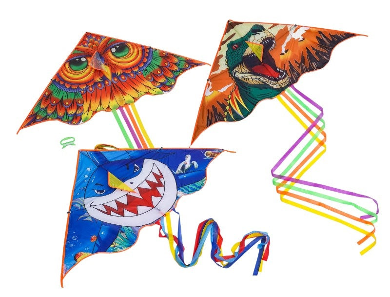 Χαρταετός με σχέδιο - 981065