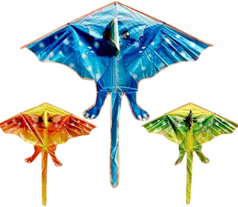 Kite with design - 981096