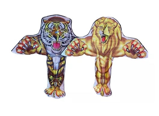 Kite with design - 981249