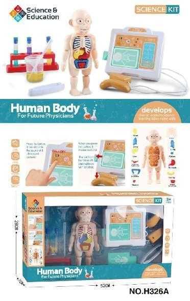 Εκπαιδευτικό παιχνίδι ανατομίας - H326A - 305255 - iThinksmart.gr