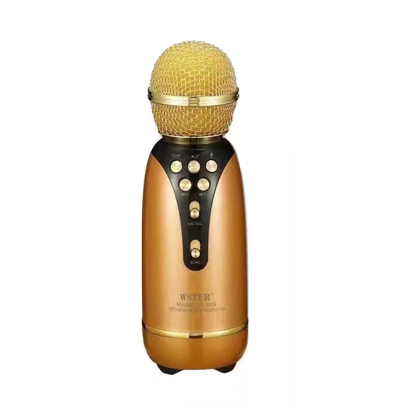 Ασύρματο μικρόφωνο Karaoke - WS-899 - Weisre - 883358 - Gold - iThinksmart.gr