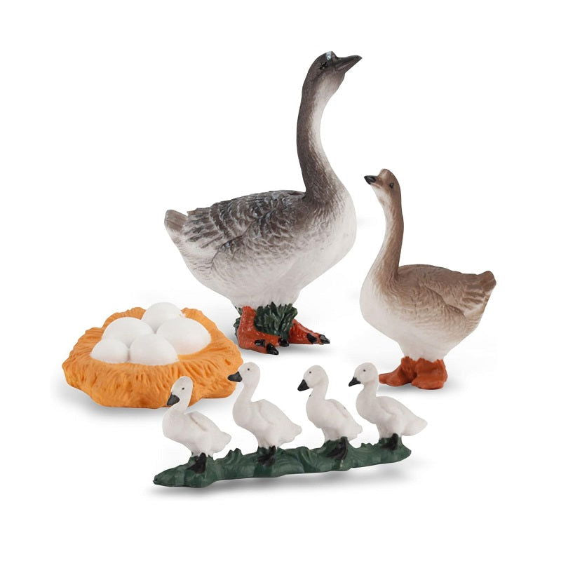 Εκπαιδευτικό σετ Πάπιες - Life Cycle - 161112 - iThinksmart.gr