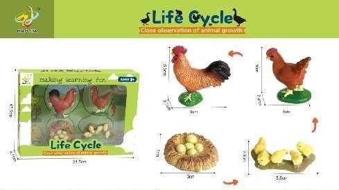 Εκπαιδευτικό σετ Κοτοπουλάκια - Life Cycle - 161113 - iThinksmart.gr