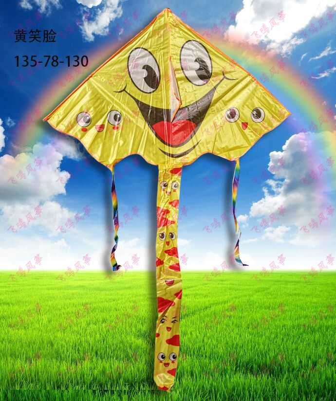 Kite with pattern - 1.4m - 981133