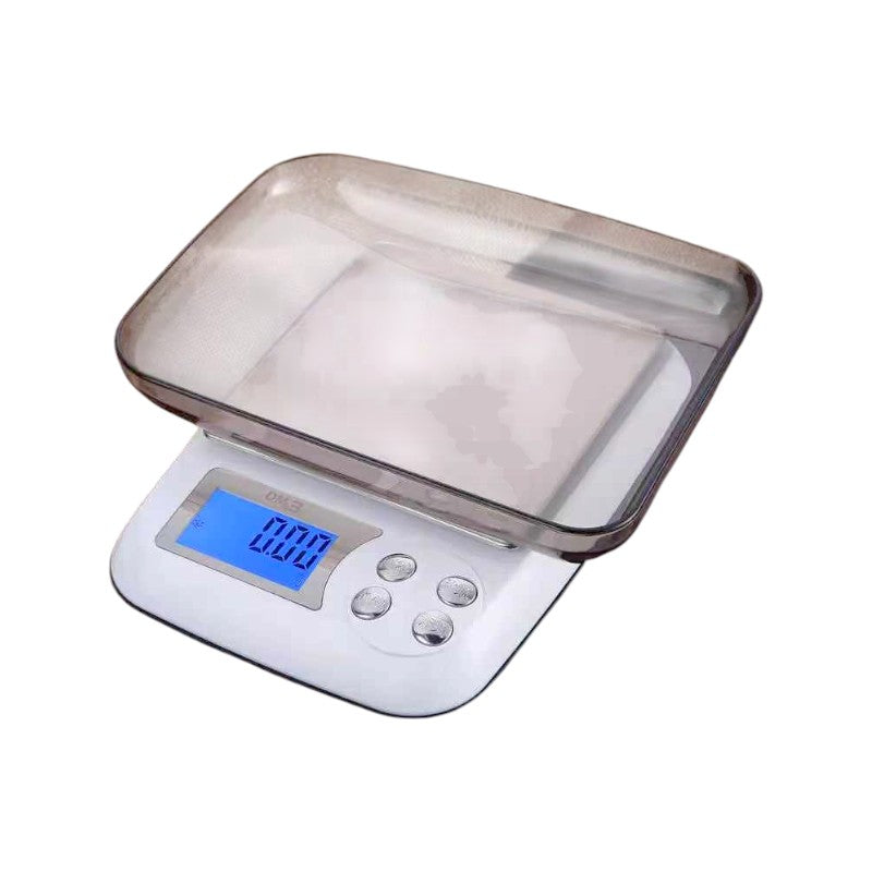 Professional precision scale - DM3-500G - 167042