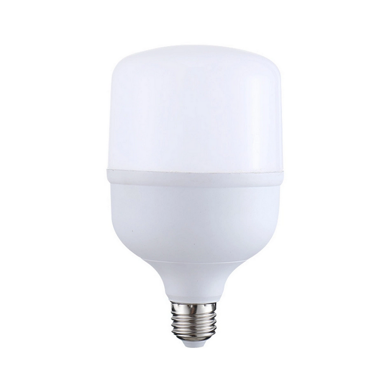 LED lamp - 10W - 6500K - T - 430142