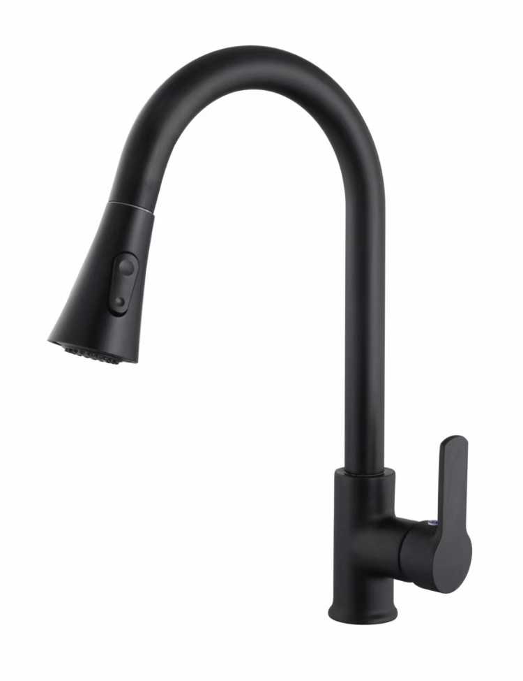 Kitchen faucet with extendable head - Black - 802332