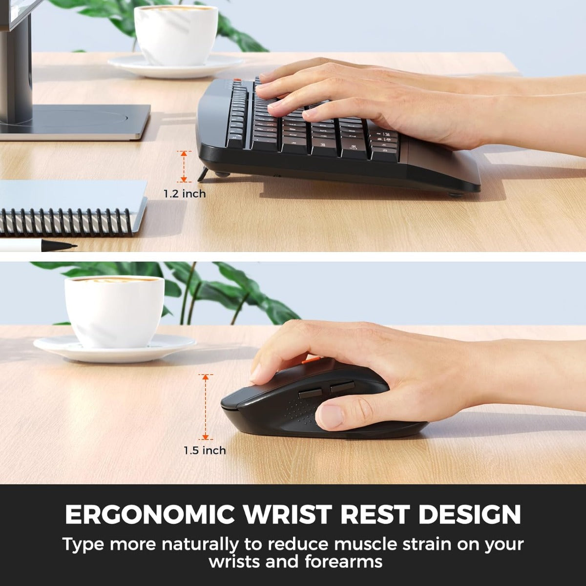 Meetion DirectorA Ergonomic Combo / Black
