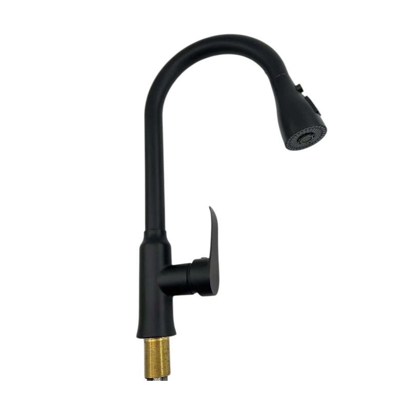 Kitchen faucet with extendable head - Black - 802295