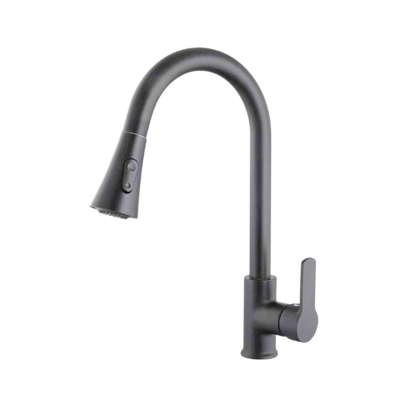 Kitchen faucet with extendable head - Grey - 802349
