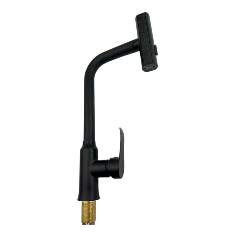 Kitchen faucet with extendable head - Black - 802370