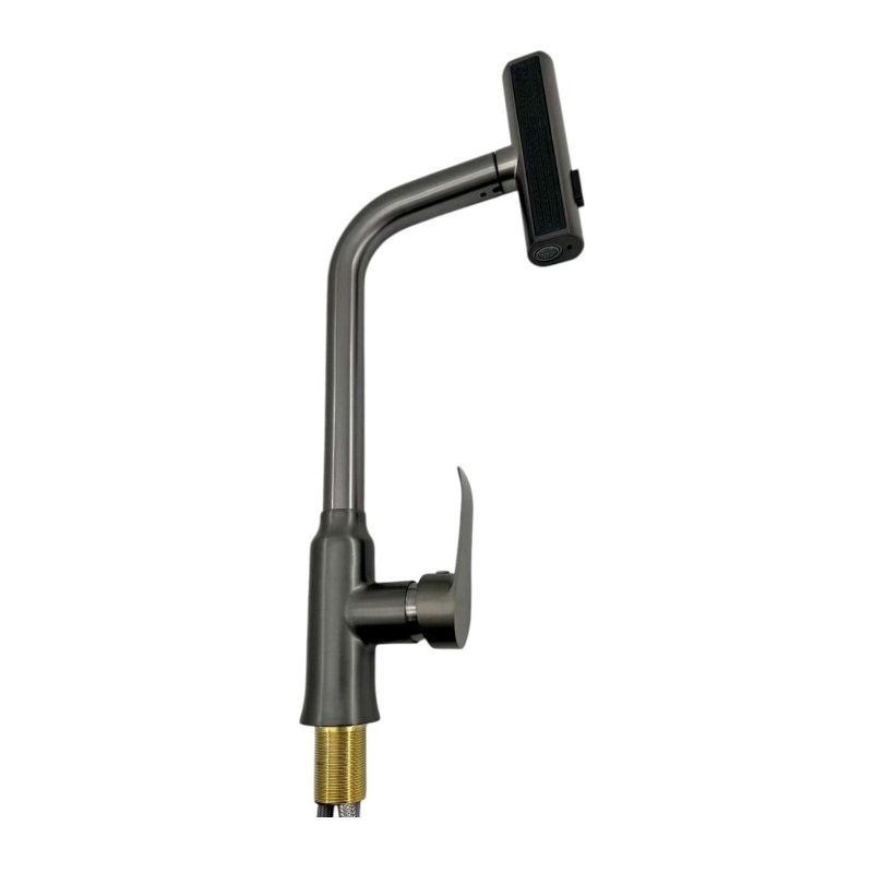 Kitchen faucet with extendable head - Grey - 802387