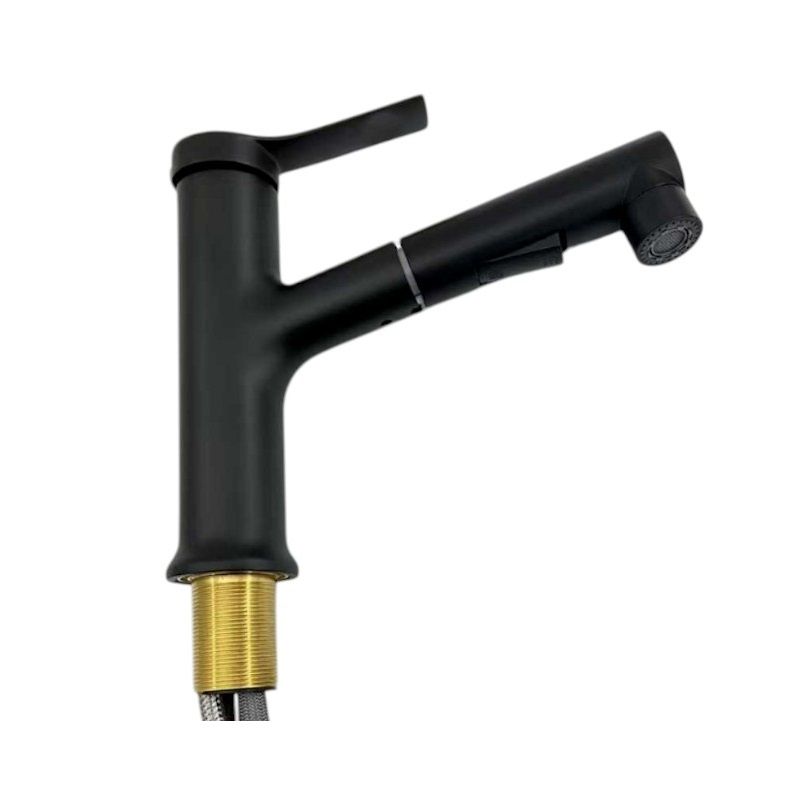 Kitchen faucet with extendable head - Black - 802394
