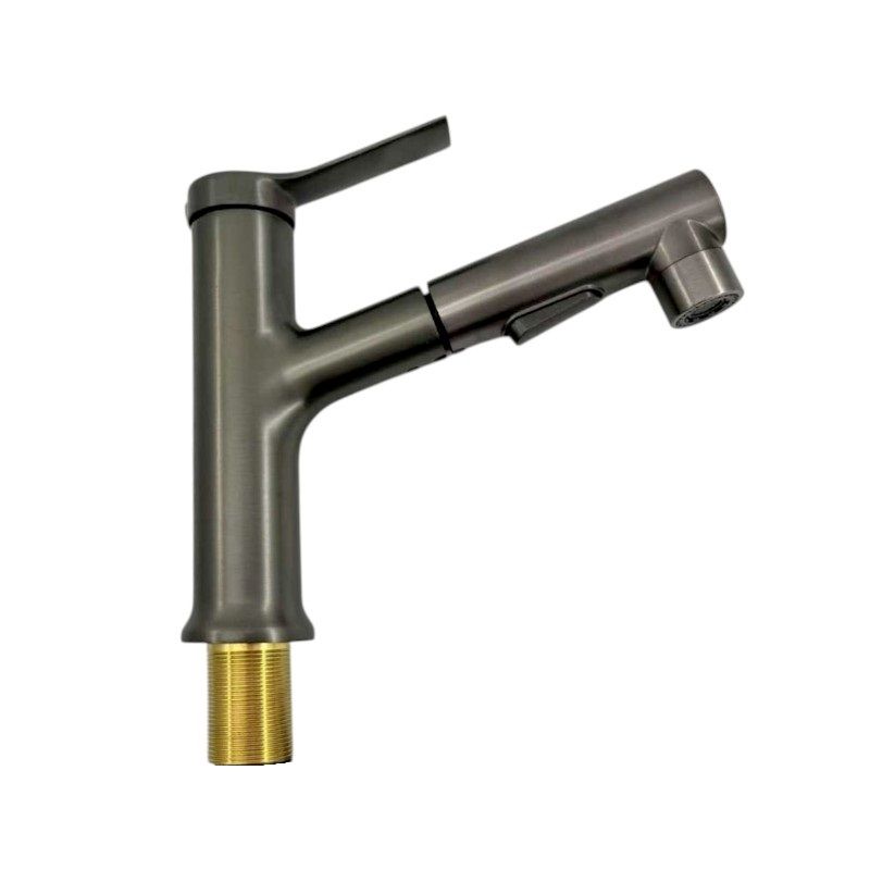 Kitchen faucet with extendable head - Grey - 802400