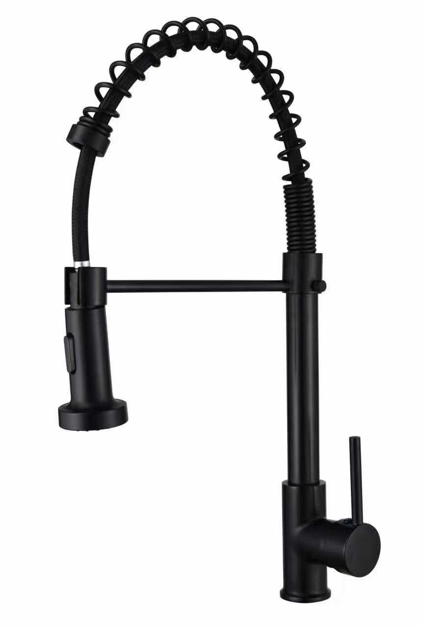 Kitchen faucet with extendable head - Black - 802356