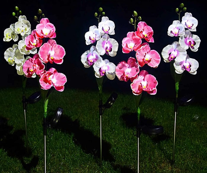 Φωτιζόμενα διακοσμητικά λουλούδια LED με ηλιακό πάνελ - 2pcs - 150388 - Purple