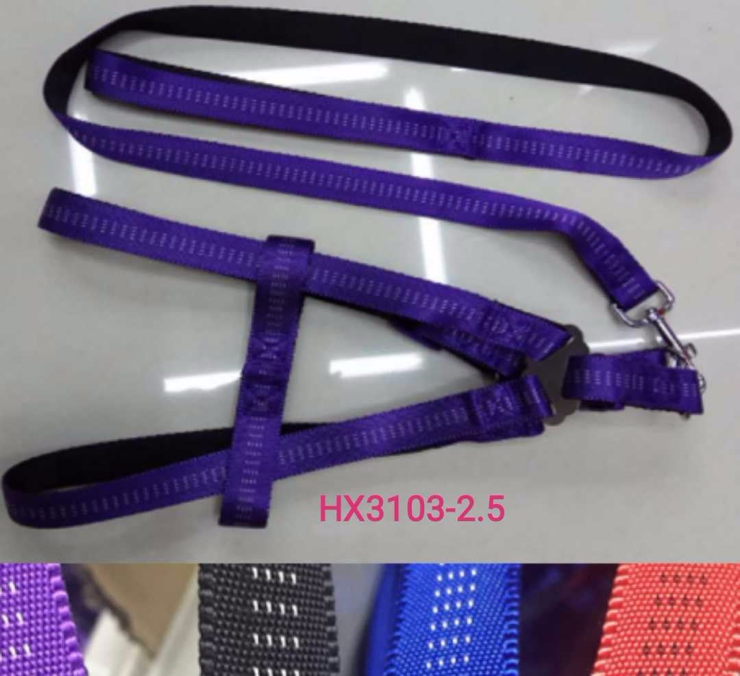 Dog leash - 2.5 meters - 671611